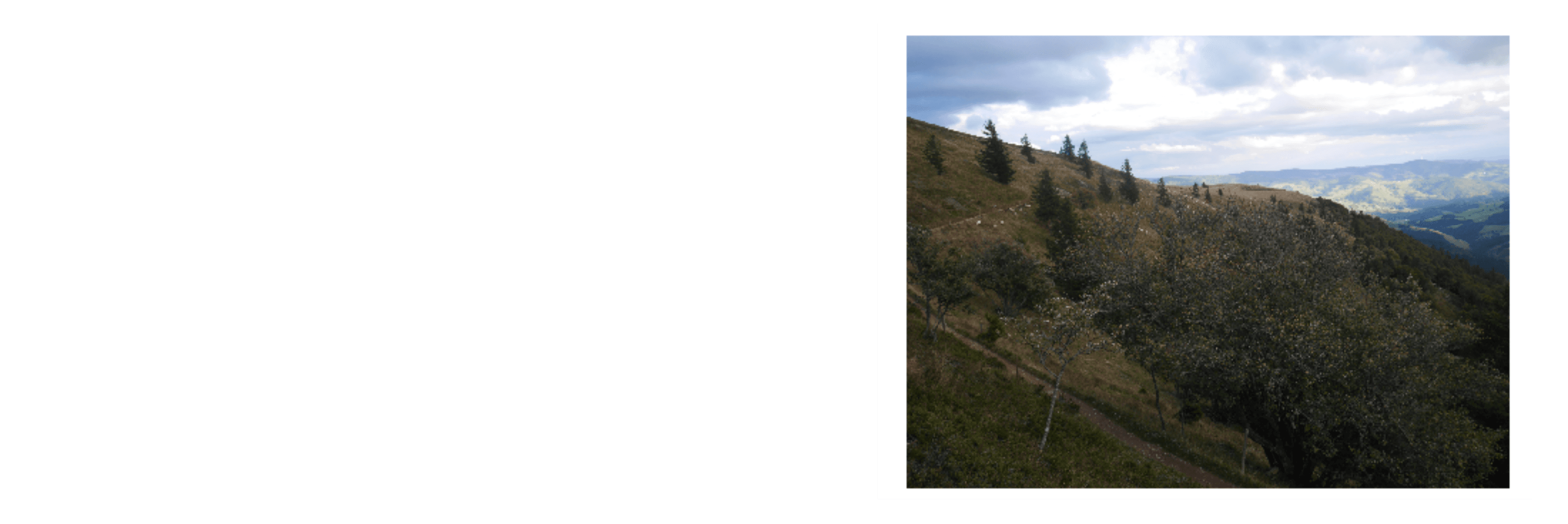 Der Südschwarzwald...